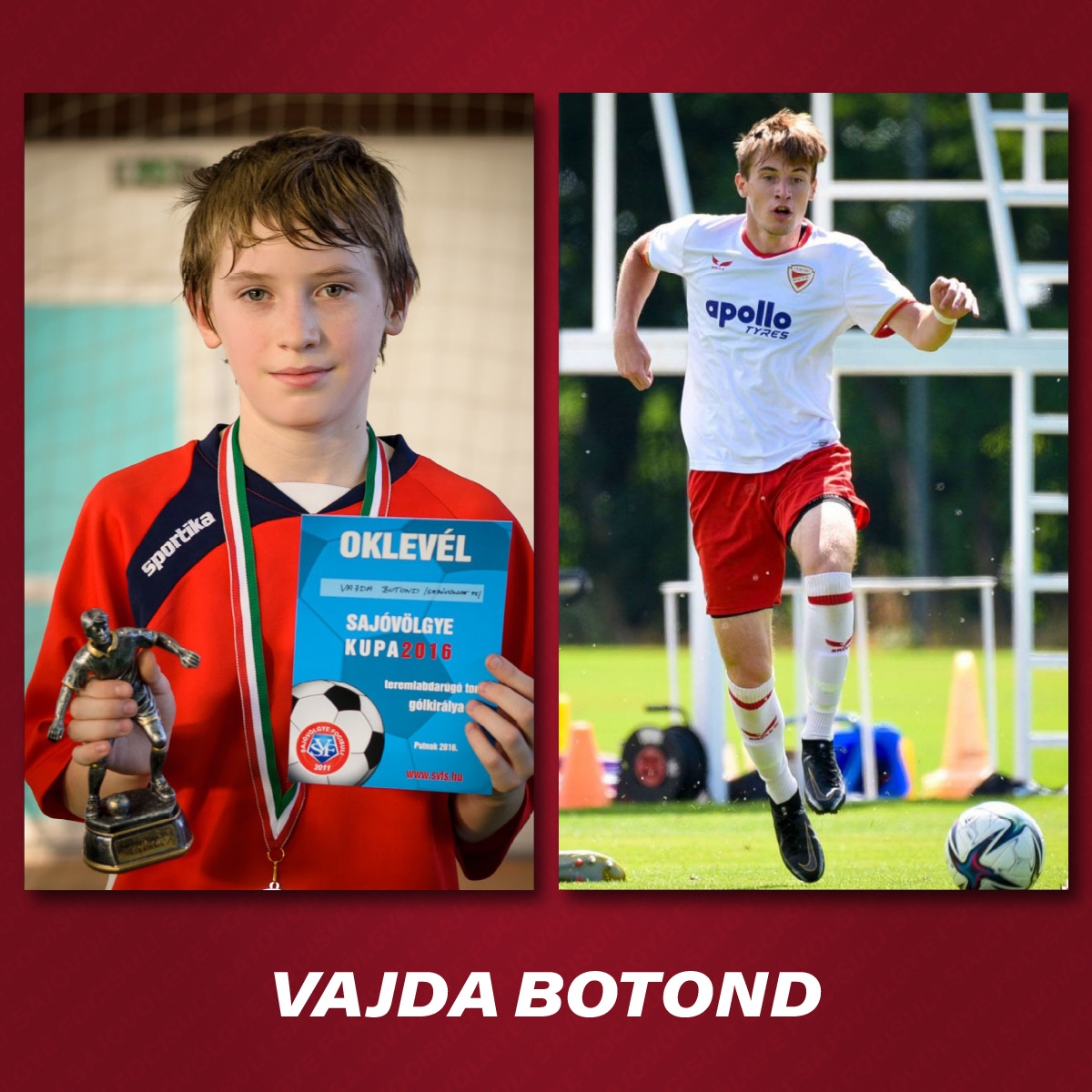 Vajda Botix2.jpg